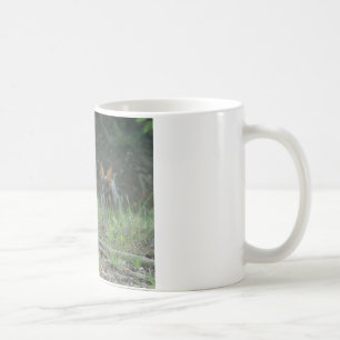 Mug Lapins Sauvages Paire de Lapin de Cottontail Orien
