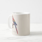 Mug L'Ara Macao / Scarlet Macaw (Devant gauche)