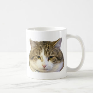 Mug Larry le visage de chat de Downing Street