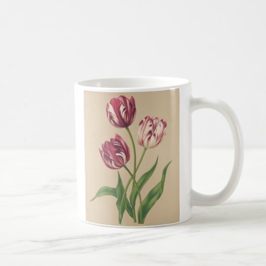 Mug L'art botanique des Tulipes (Droite)