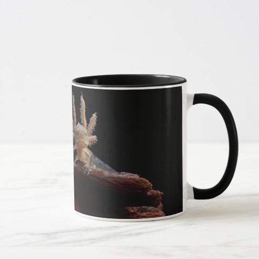 Mug Larve crêté de triton (Droite)