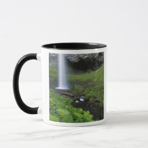 Mug Latourell Falls, Columbia River Gorge, Oregon,