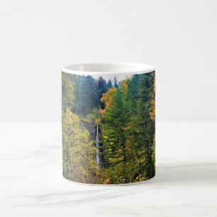 Mug Latourell Falls, gorge de Columbia, Oregon