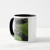 Mug Latourell Falls, Gorge du Columbia, Oregon, (Devant gauche)