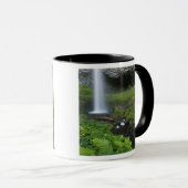 Mug Latourell Falls, Gorge du Columbia, Oregon, (Devant droit)