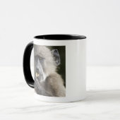Mug Le babouin de Chacma juvénile (ursinus de Papio) (Devant gauche)