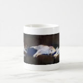 Mug Le Beaglez (Centre)