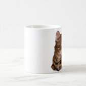 Mug le Bengale (Centre)