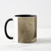 Mug Le calicot couvent (Gauche)