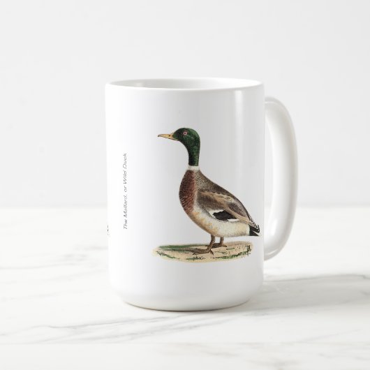 Mug Le canard colvert ou sauvage (Anas platyrhynchos) (Devant droit)