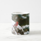 Mug Le cardinal de Snowy Bush (Centre)