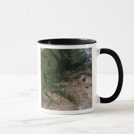 Mug Le changement de végétation (Droite)
