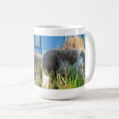 Mug Le chat ensoleillé est ensoleillé (Devant droit)