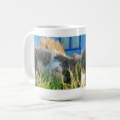 Mug Le chat ensoleillé est ensoleillé (Devant gauche)