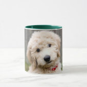 Mug Le Chiot De Goldendoodle S'Assis Dans L'Herbe (Centre)