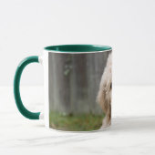 Mug Le Chiot De Goldendoodle S'Assis Dans L'Herbe (Gauche)
