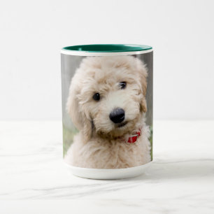 Mug Le Chiot De Goldendoodle S'Assis Dans L'Herbe