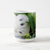 Mug Le corossol (Centre)