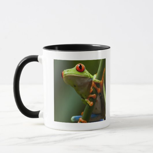 Mug Le Costa Rica, Monteverde, grenouille d'arbre aux (Gauche)