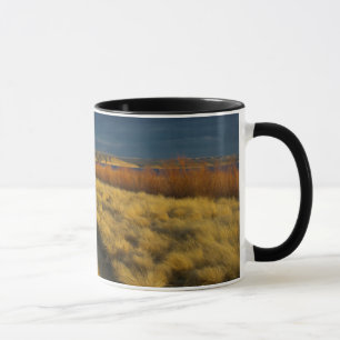 Mug Le coucher du soleil met en lumière l'écorce rou
