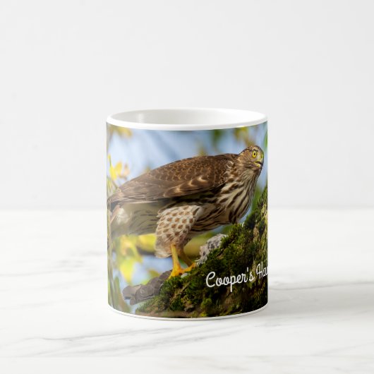 Mug Le faucon de Cooper (Centre)
