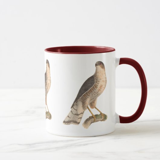 Mug Le faucon de couleur ardoise (Astur fuscus) (Droite)