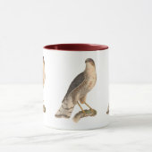Mug Le faucon de couleur ardoise (Astur fuscus) (Centre)