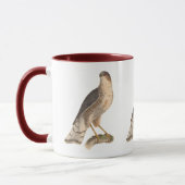 Mug Le faucon de couleur ardoise (Astur fuscus) (Gauche)