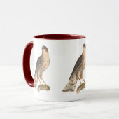 Mug Le faucon de couleur ardoise (Astur fuscus) (Devant gauche)