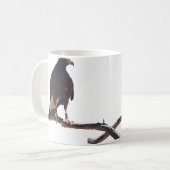 Mug Le faucon de Harris (Devant gauche)