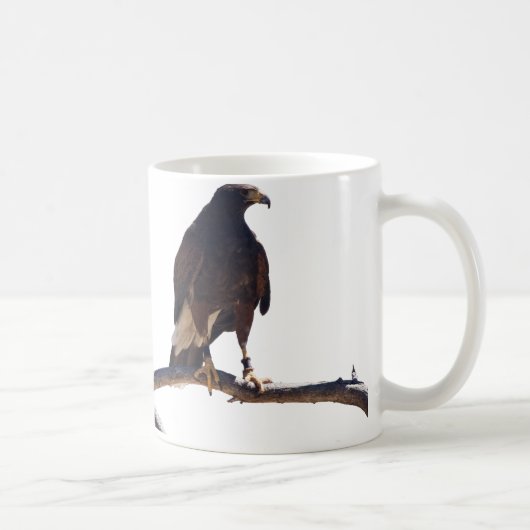 Mug Le faucon de Harris (Droite)