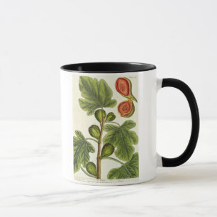 Mug Le figuier, plaquent 125 "d'un de fines herbes