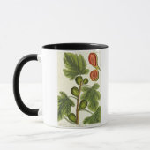 Mug Le figuier, plaquent 125 "d'un de fines herbes (Gauche)