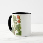 Mug Le figuier, plaquent 125 "d'un de fines herbes (Devant gauche)