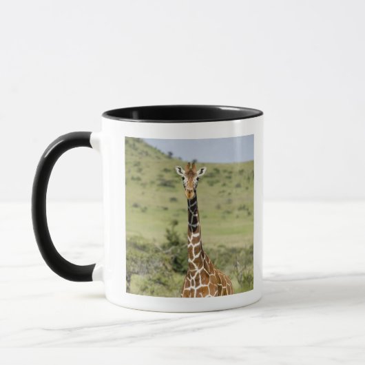 Mug Le Kenya, garde de Lewa, position de girafe de (Gauche)