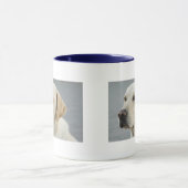 Mug Le Labrador d'or (Centre)