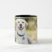 Mug Le Labrador Jaune Est Sur Le Banc (Centre)