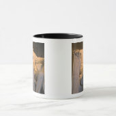 Mug Le Lincoln Memorial dans DC de Washington (Centre)