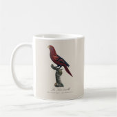 Mug Le Lori ecaille / Lory à rayures bleues (Gauche)