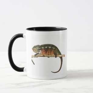 Mug Le Madagascar 2