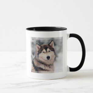 Mug Le magnifique Husky en plein air