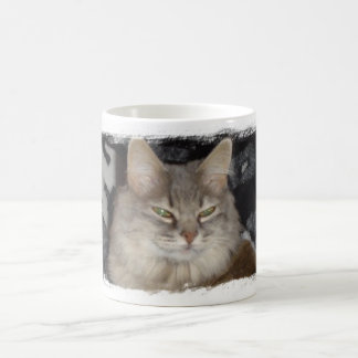 Mug le meow du chat