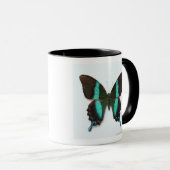Mug Le papillon a trouvé dans les régions de l'Asie et (Devant droit)