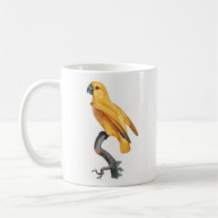 Mug Le perroquet du Sénégal