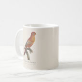 Mug Le Perruche écarlate (Devant gauche)