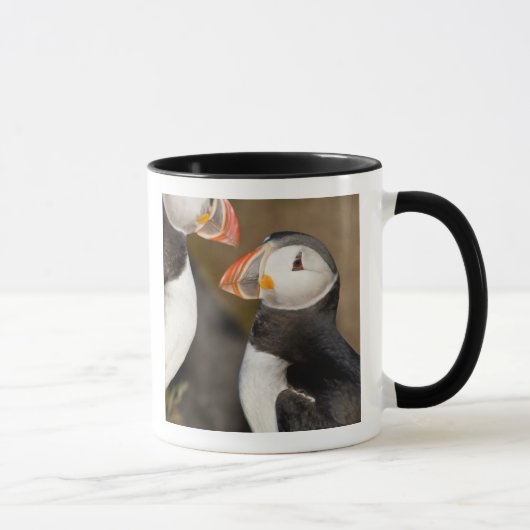 Mug Le Puffin Atlantique (Droite)