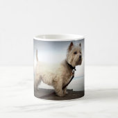 Mug Le Roi Barko (Centre)