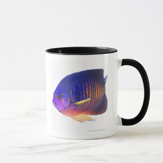 Mug Le scalaire two-spined (Droite)