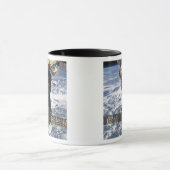 Mug Le Soyouz TMA-19 (Centre)