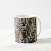 MUG LE TIGER DANS LA SAUVAGE REPOSANT (Devant droit)